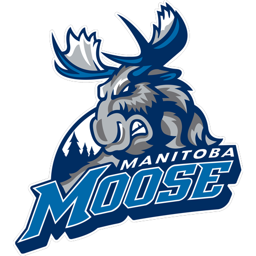 Manitoba Moose